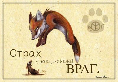 Прикрепленное изображение: V5UFQWR0yK8.jpg